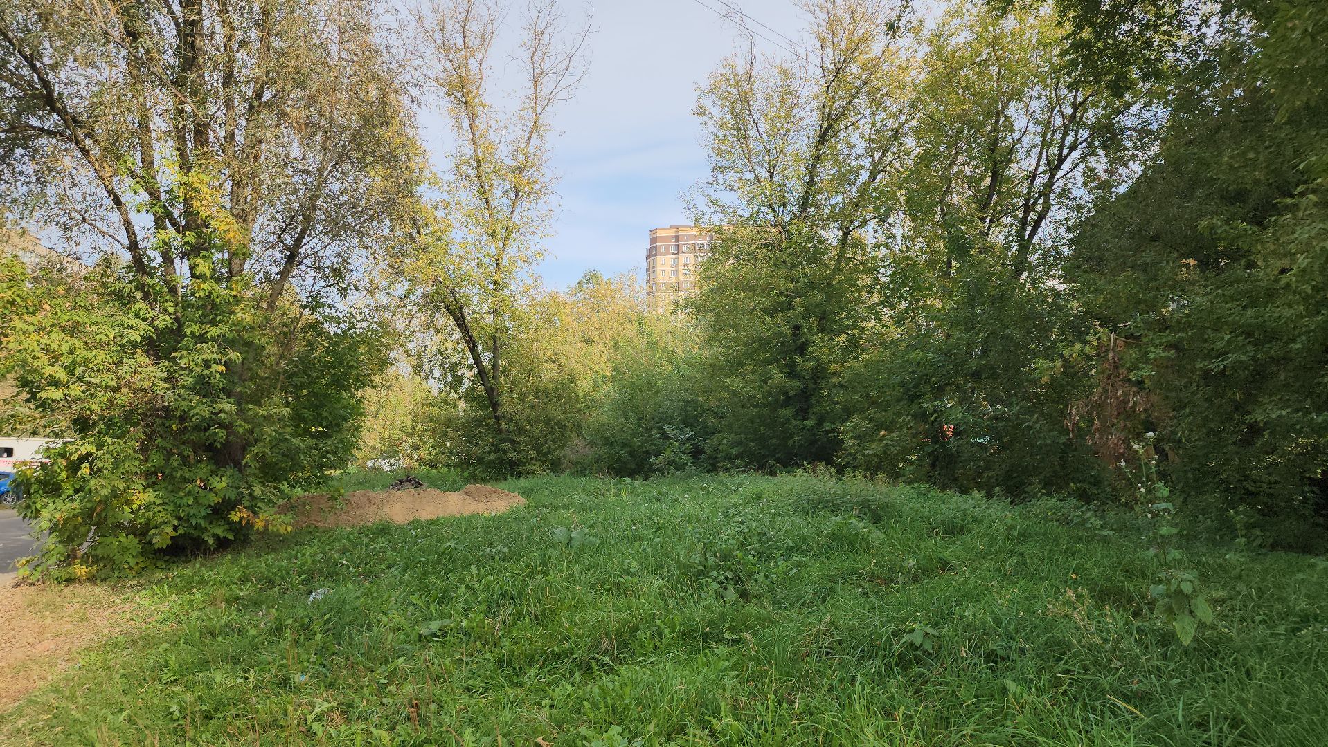 щёлково, выездная администиация, площадка для выгула собак,