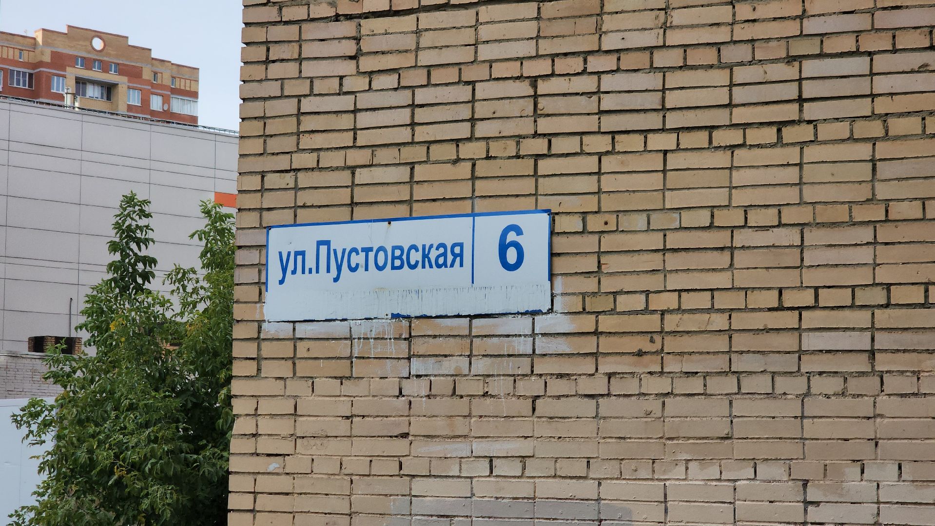 щёлково, выездная администиация, площадка для выгула собак,