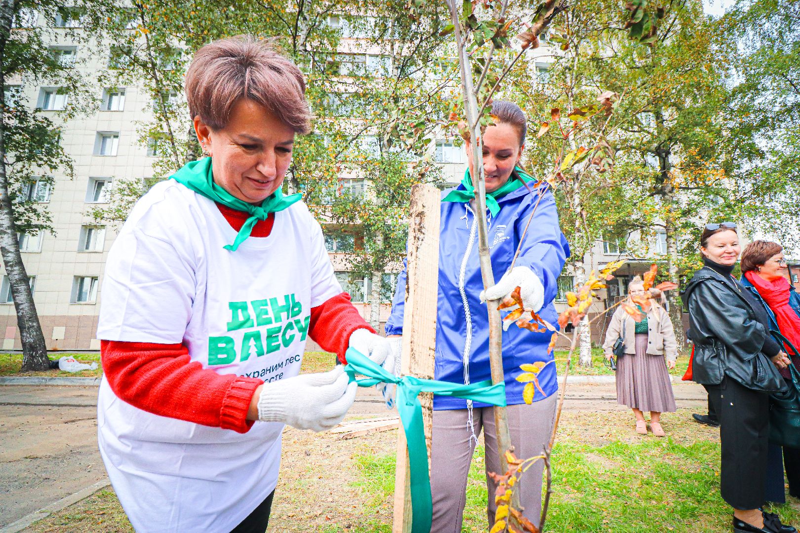 клин, общество, экология, высадка деревьев, дети, подмосковье,