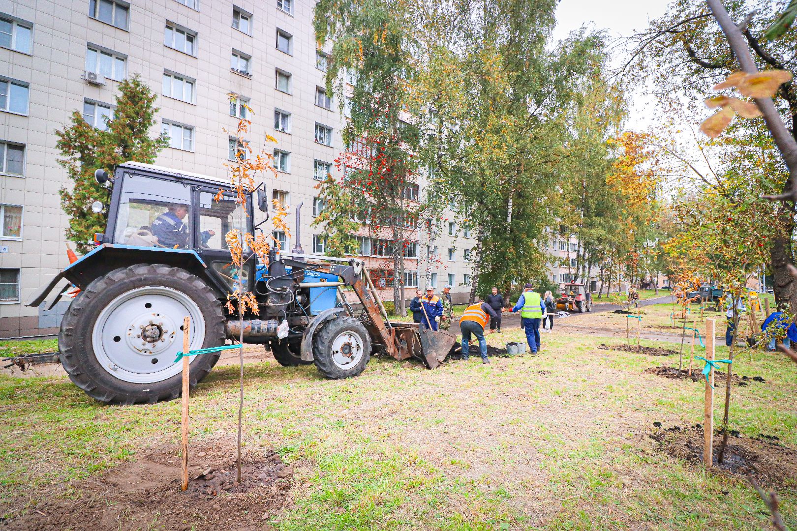 клин, общество, экология, высадка деревьев, дети, подмосковье,