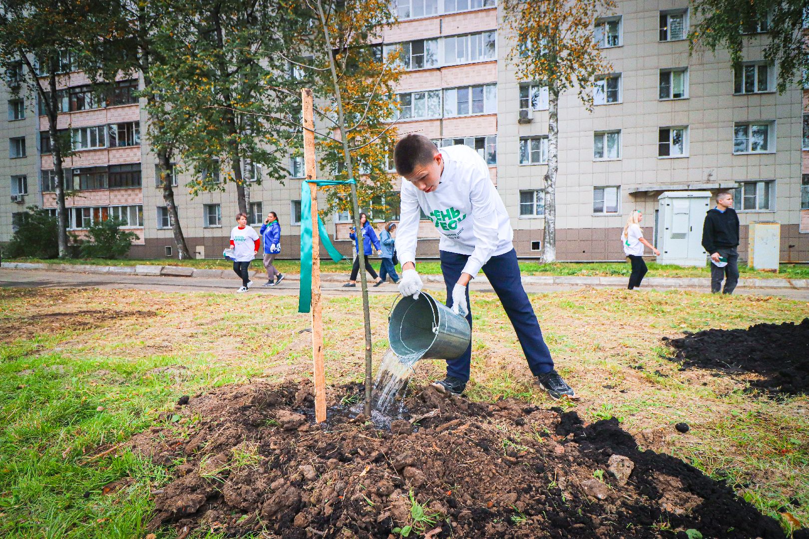 клин, общество, экология, высадка деревьев, дети, подмосковье,