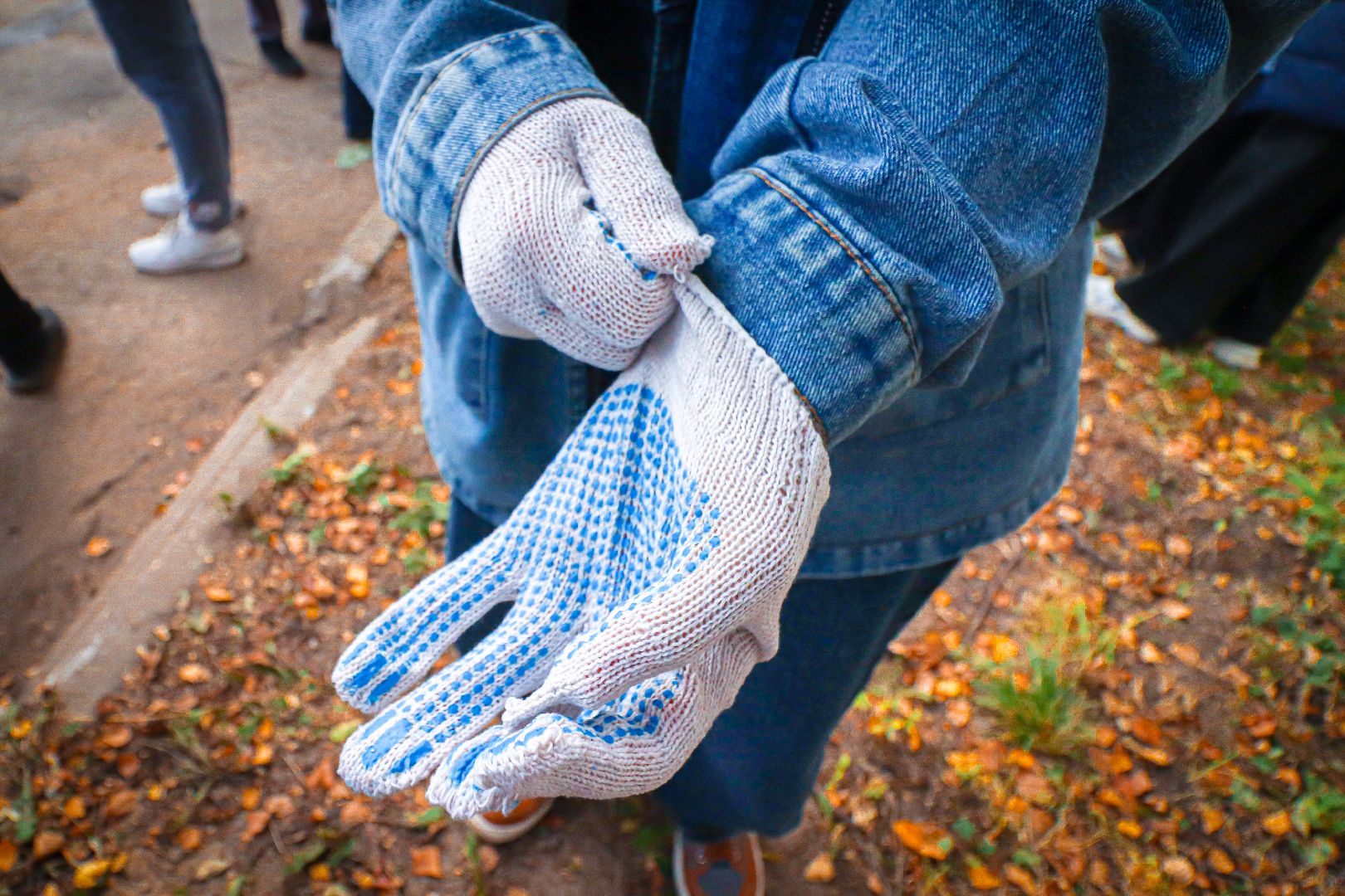 клин, общество, экология, высадка деревьев, дети, подмосковье,