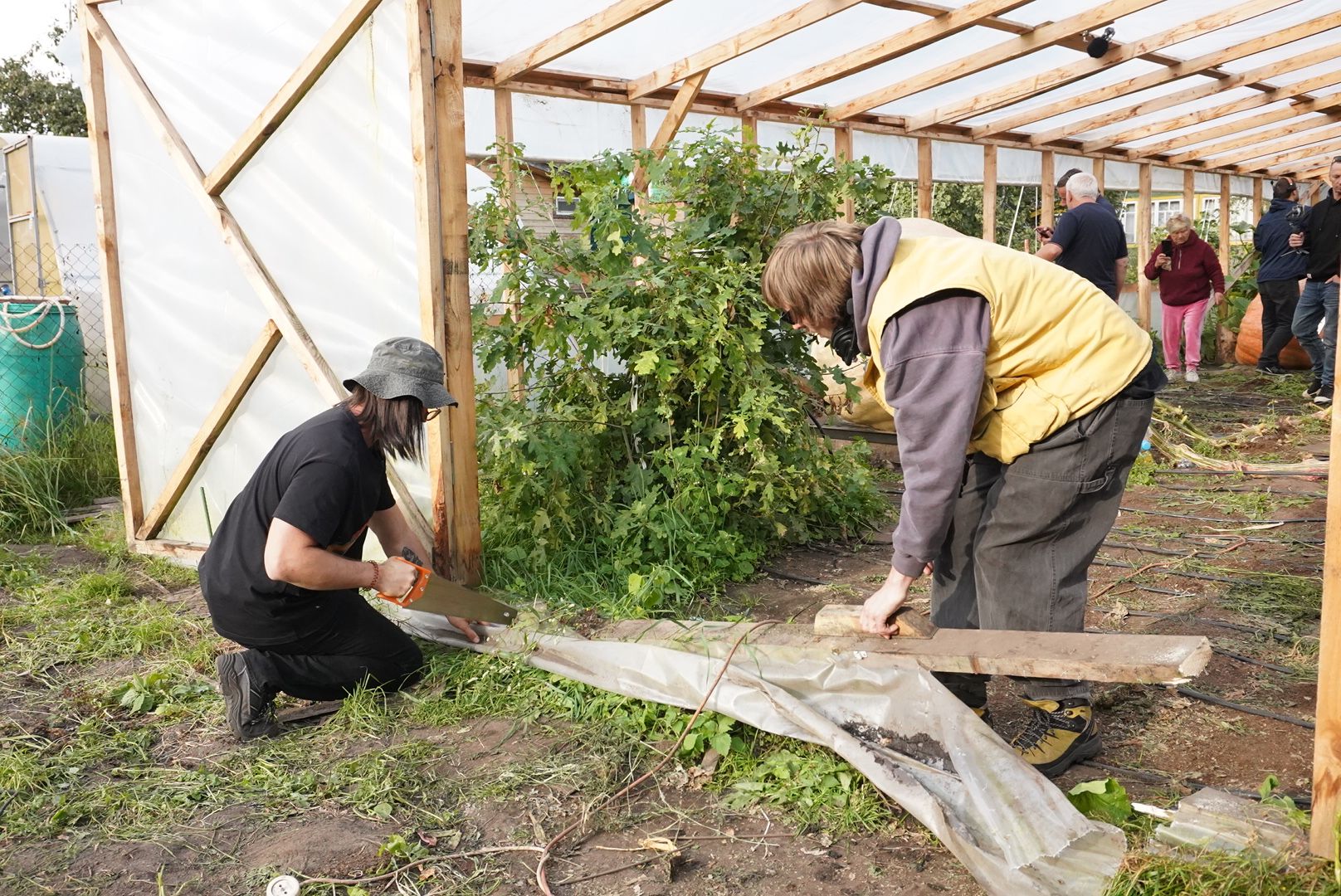 Электрогорск , Рекорд, Тыква ,