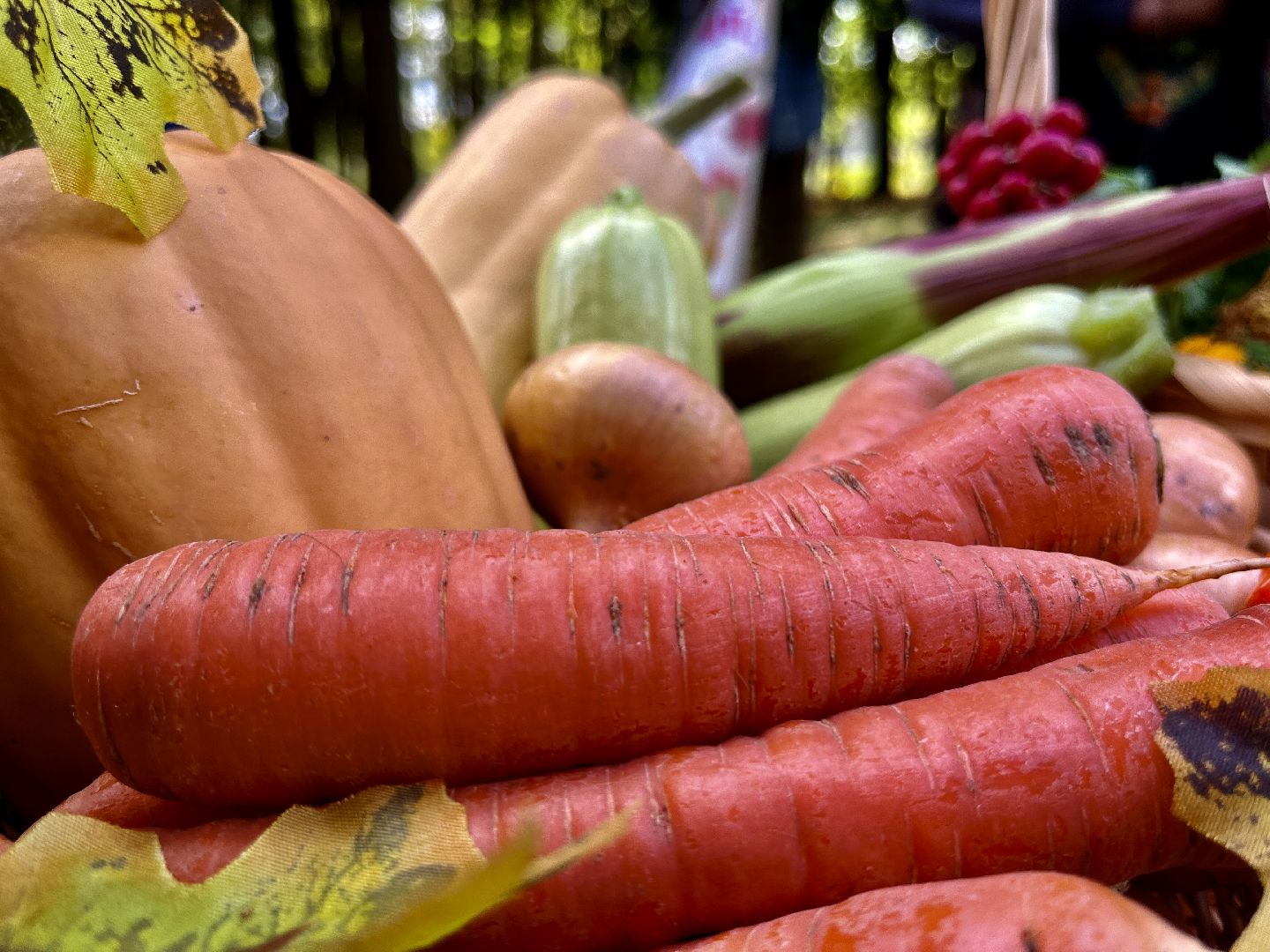наро-фоминск,наро-фоминский городской округ, осенины, парк победы наро-фоминск, цдк звезда, день осеннего равноденствия,