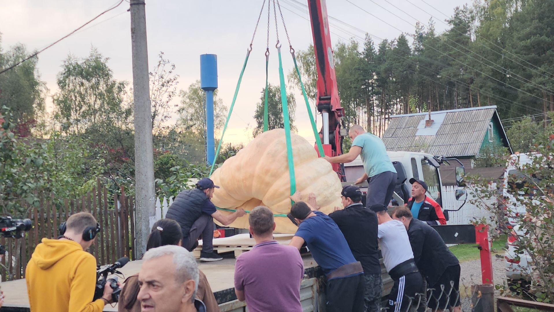 Электрогорск , Тыква , Рекорд ,