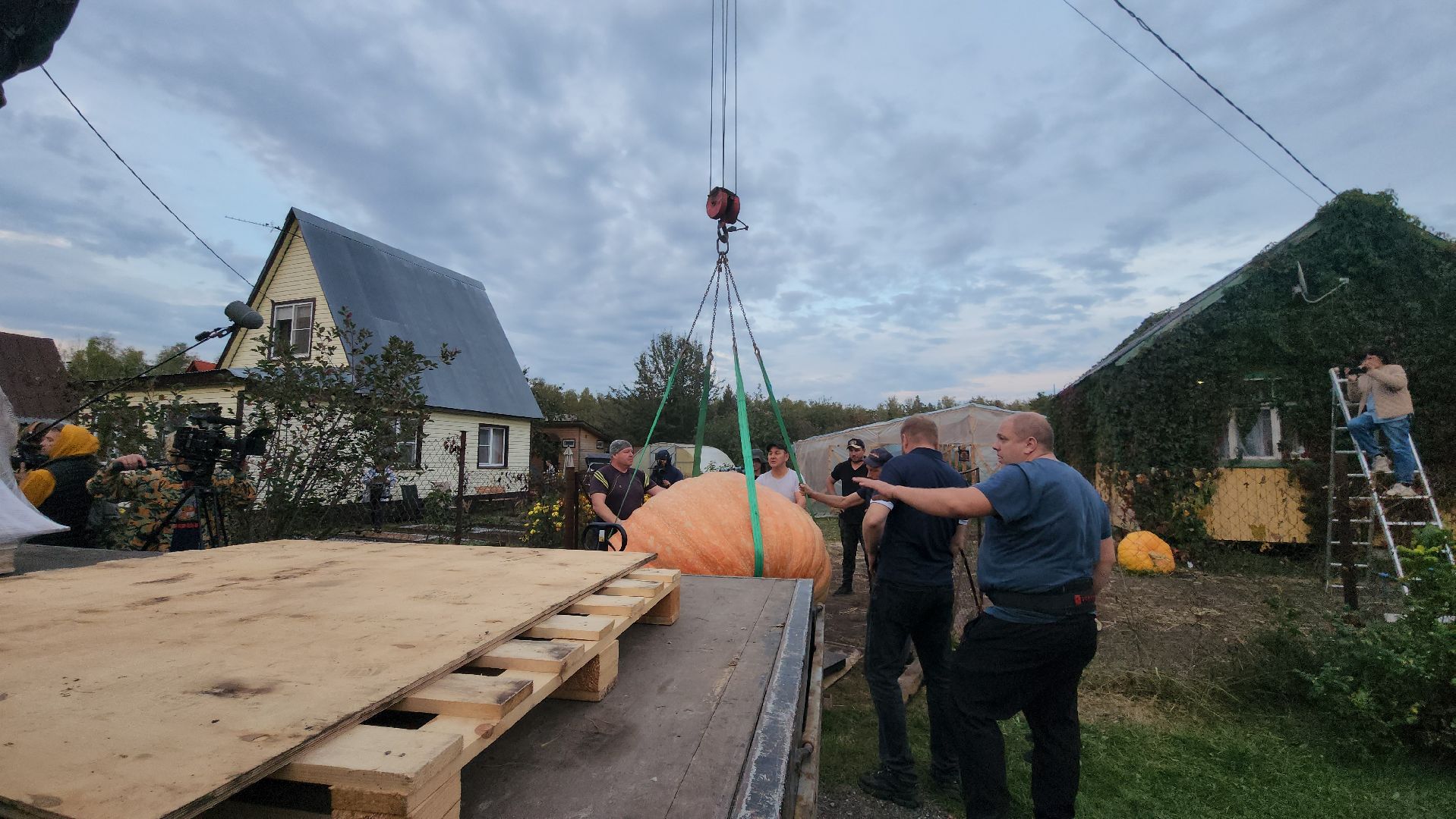 Электрогорск , Тыква , Рекорд ,