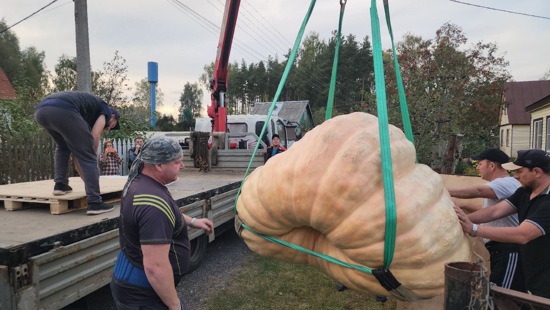 Электрогорск , Тыква , Рекорд ,