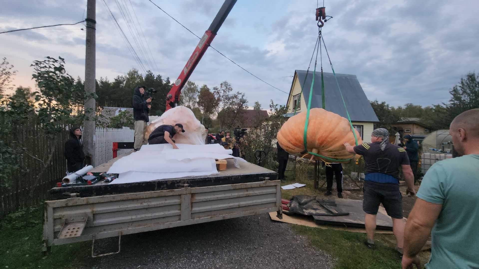 Электрогорск , Тыква , Рекорд ,