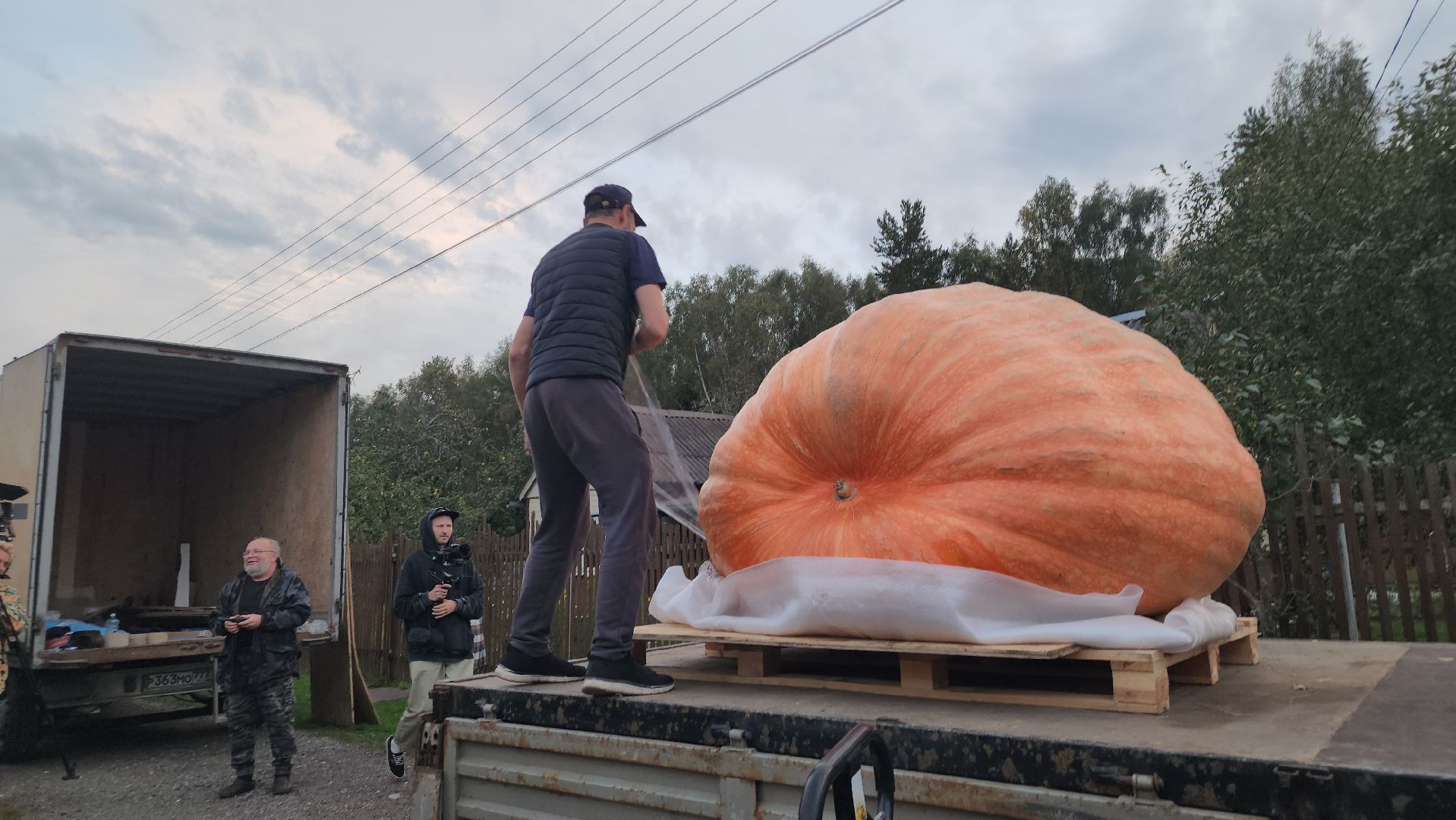 Электрогорск , Тыква , Рекорд ,