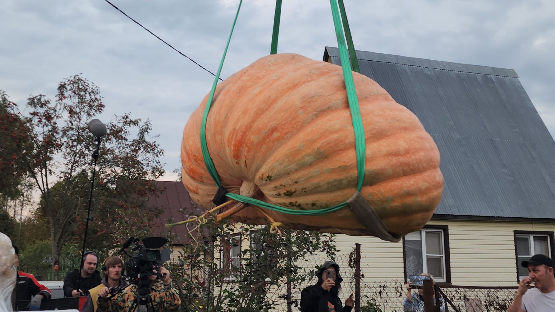 Электрогорск , Тыква , Рекорд ,