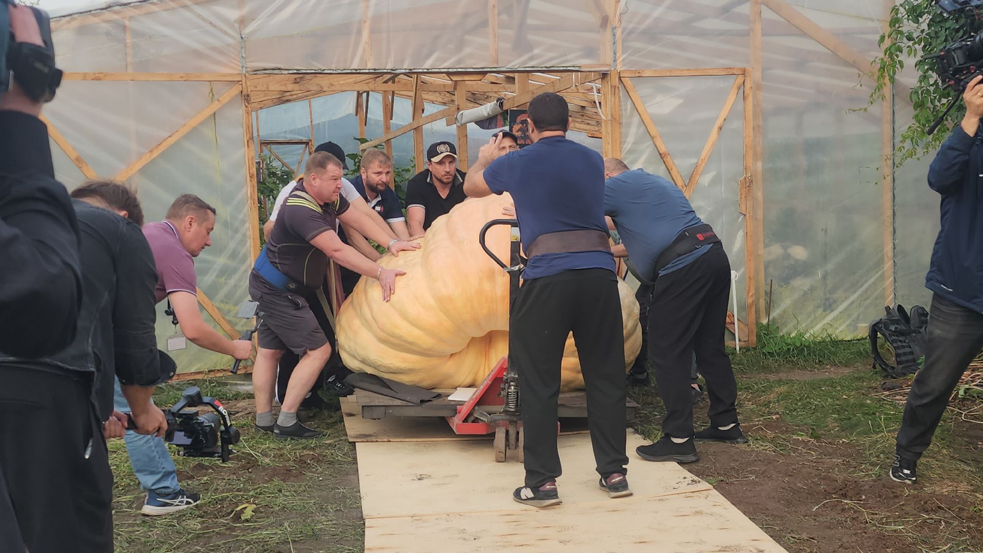 Электрогорск , Тыква , Рекорд ,