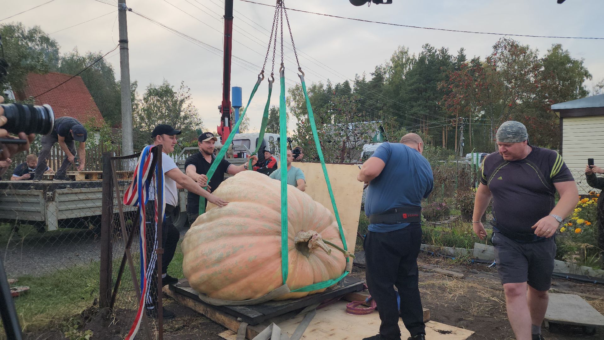 Электрогорск , Тыква , Рекорд ,