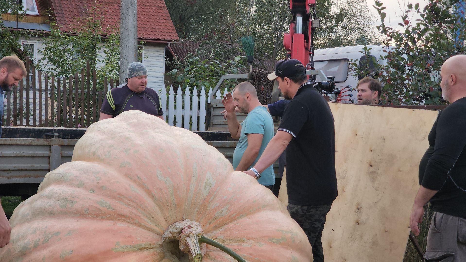 Электрогорск , Тыква , Рекорд ,