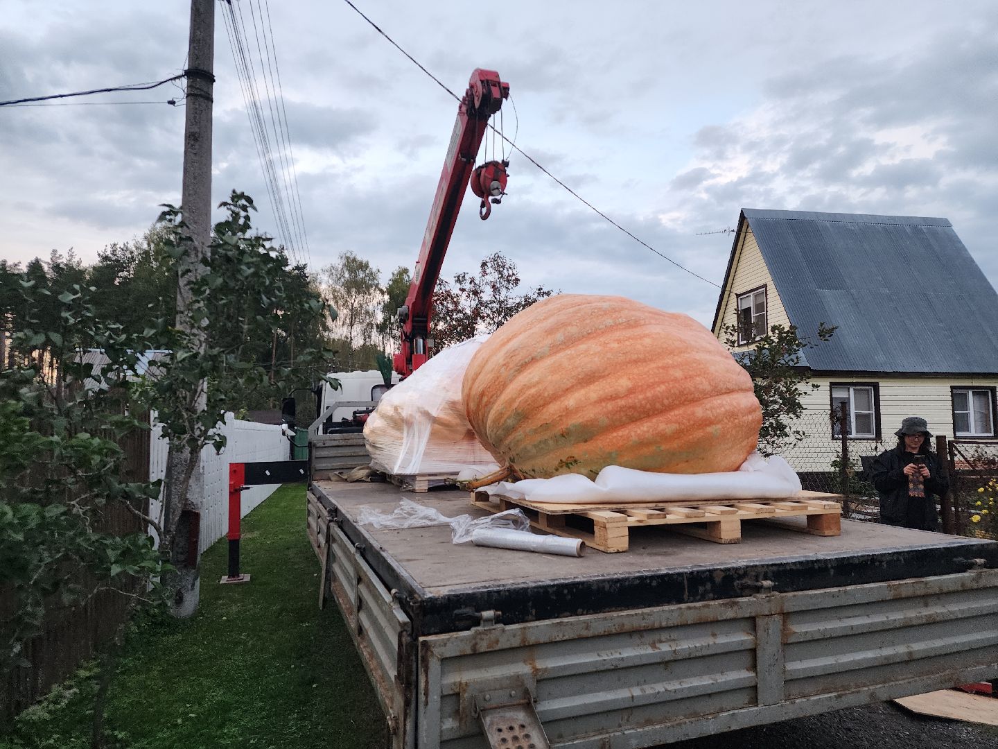 Электрогорск , Тыква , Рекорд ,