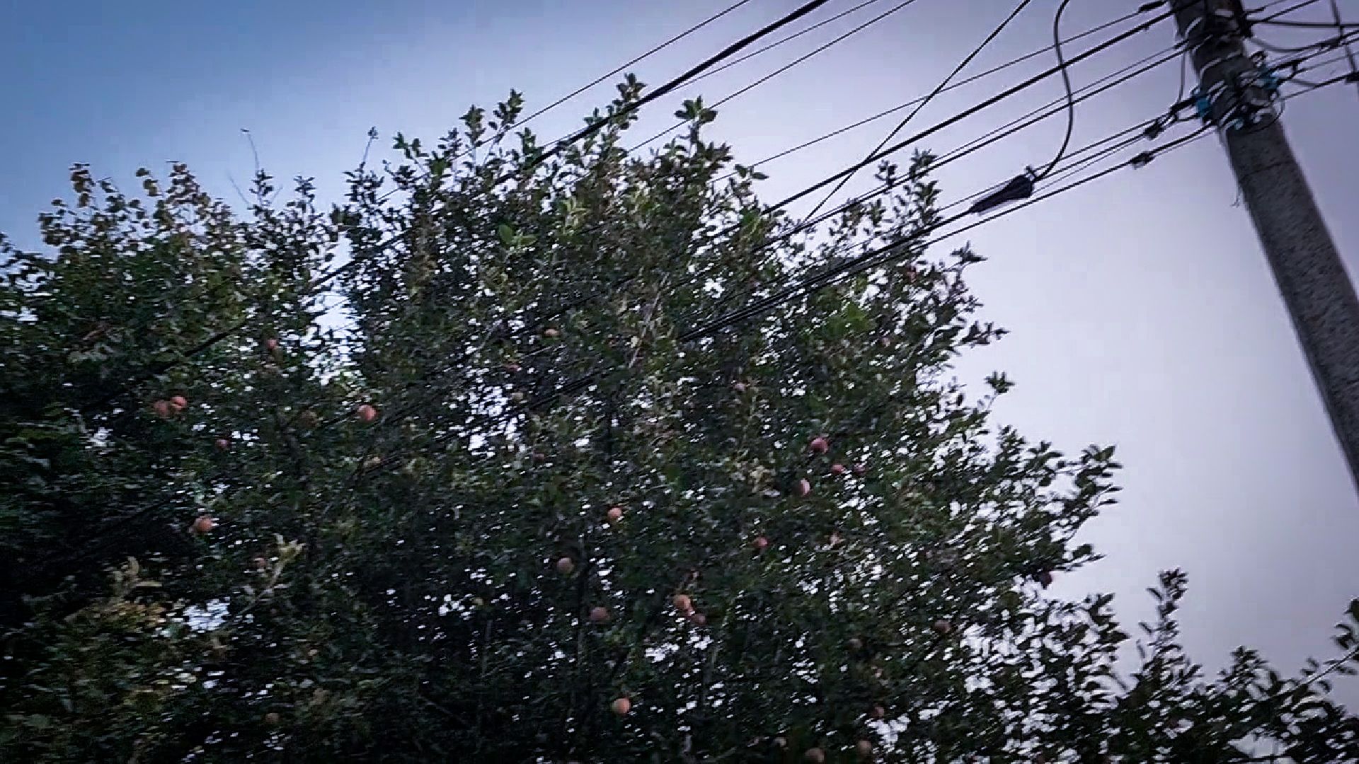 выездная администрация в бронницах, обращение жителей к администрации , вопросы благоустройства территории ,