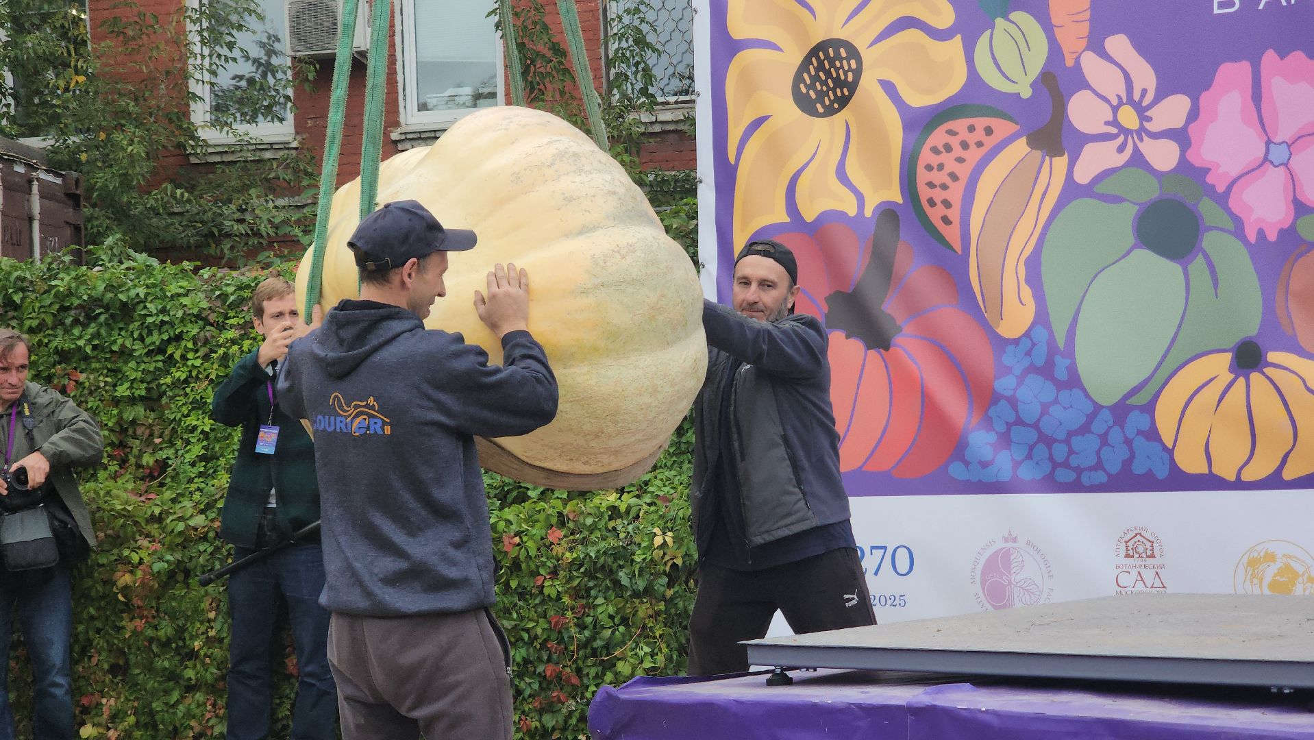 Общество , Овощи гиганты , Ботанический сад, Тыква, Рекорд, Электрогорск,