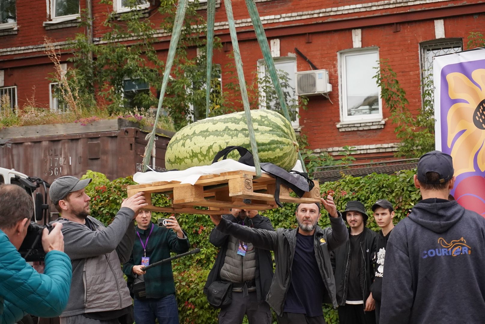 Общество , Овощи гиганты , Ботанический сад, Тыква, Рекорд, Электрогорск,