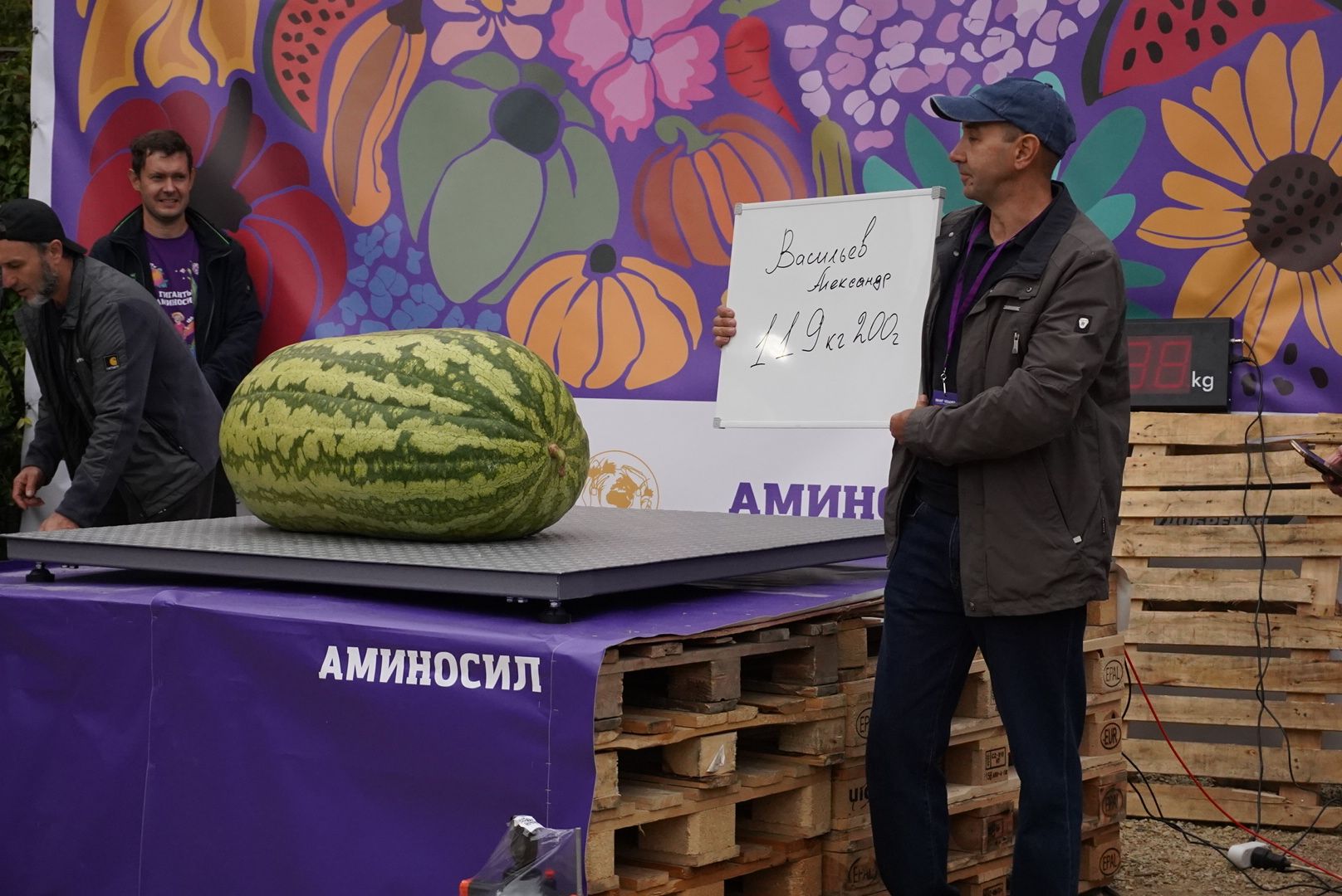 Общество , Овощи гиганты , Ботанический сад, Тыква, Рекорд, Электрогорск,