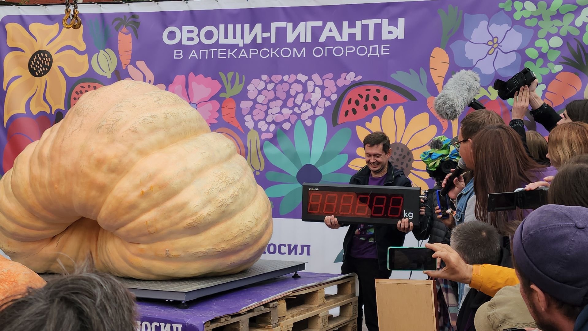 Общество , Овощи гиганты , Ботанический сад, Тыква, Рекорд, Электрогорск,