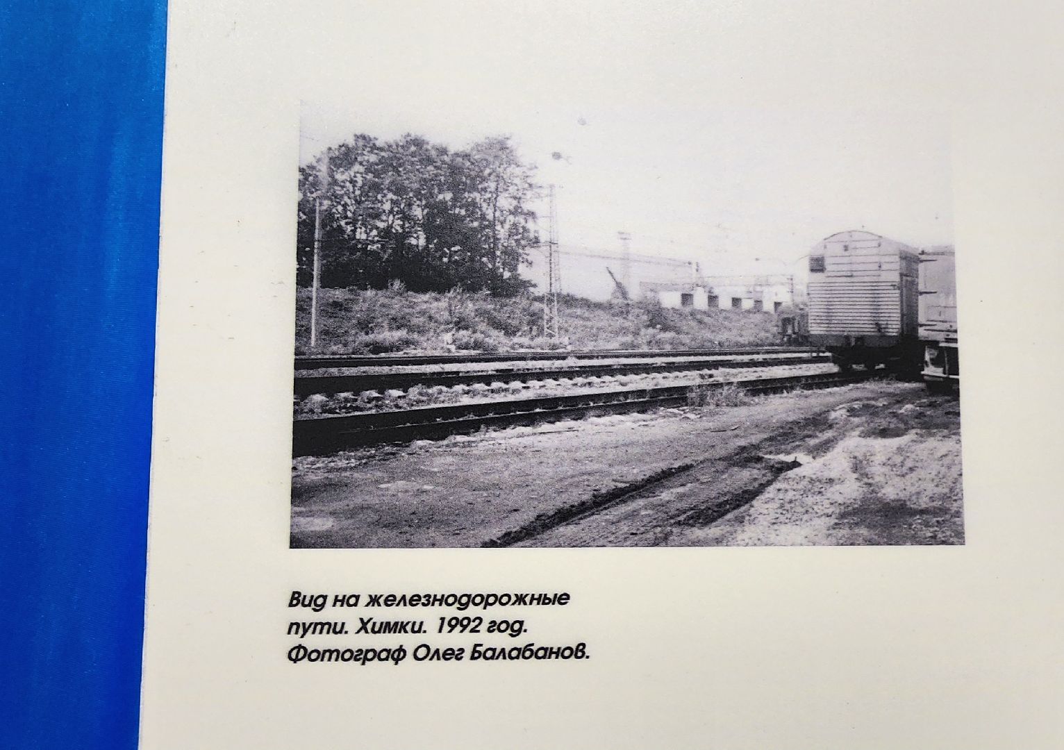 Химки, культура, живопись, искусство,