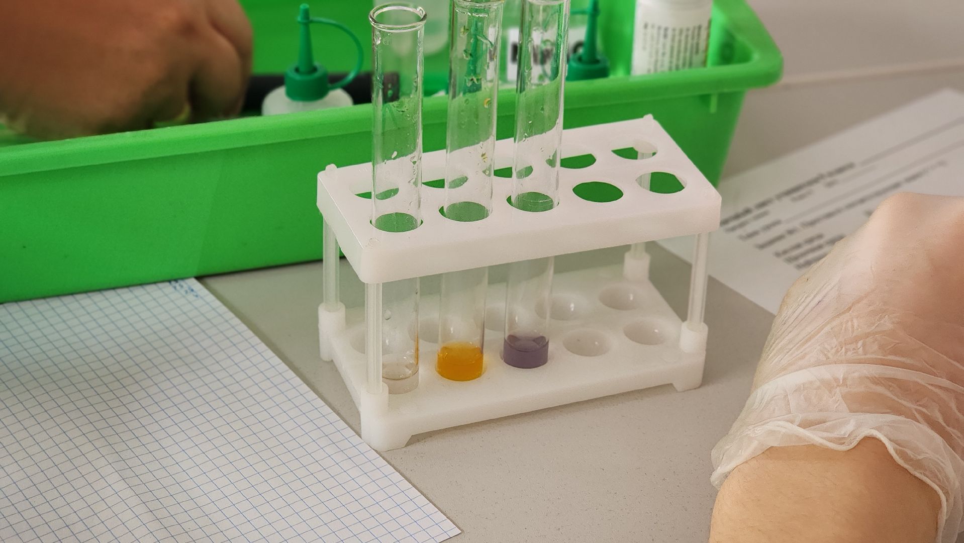 образование, точка роста, школа, лосино-петровский,