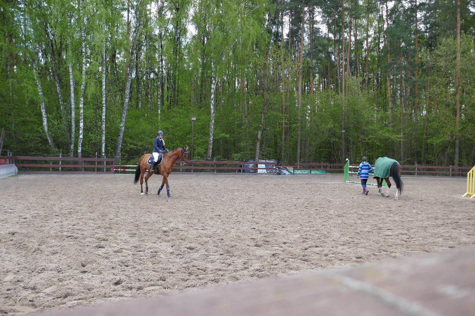 Подольск, конкур, лошади, праздник, спорт, соревнования