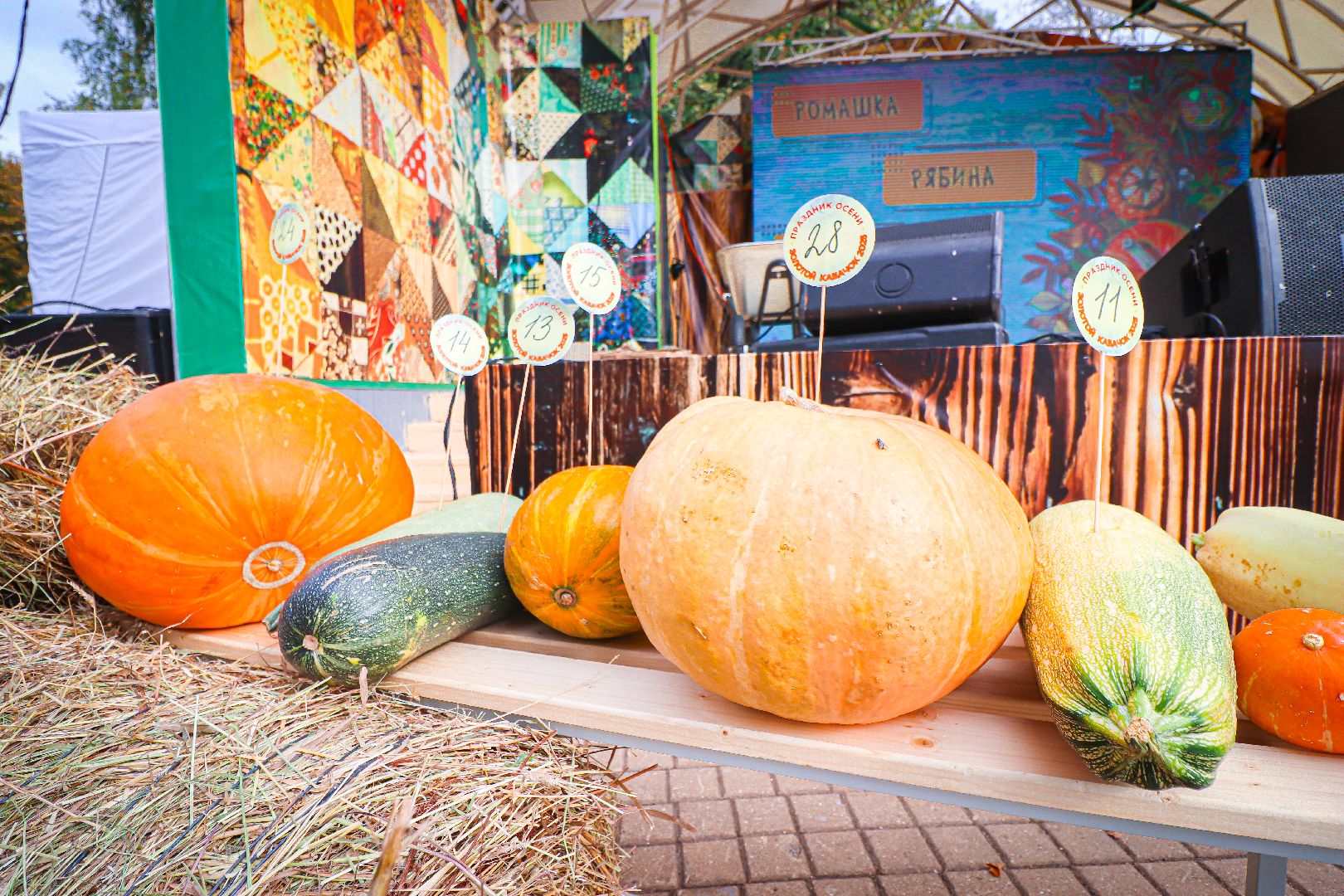 клин, общество, урожай, овощи, культура, фестивали, золотой кабачок,  подмосковье,