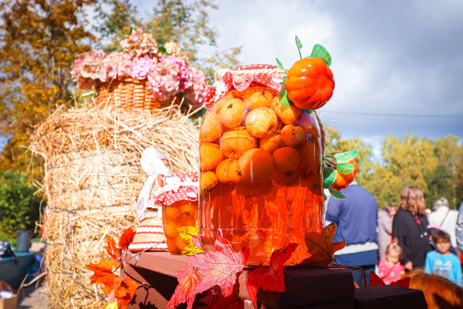 клин, общество, урожай, овощи, культура, фестивали, золотой кабачок,  подмосковье,