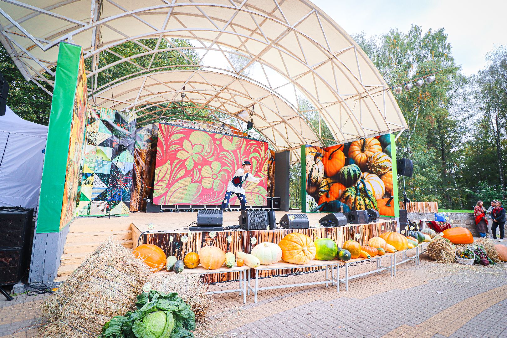 клин, общество, урожай, овощи, культура, фестивали, золотой кабачок,  подмосковье,