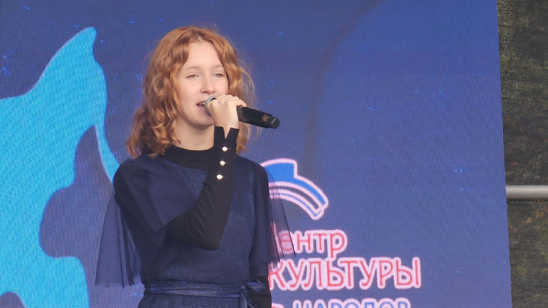 артфолк, день города красногорск, шарлотка,