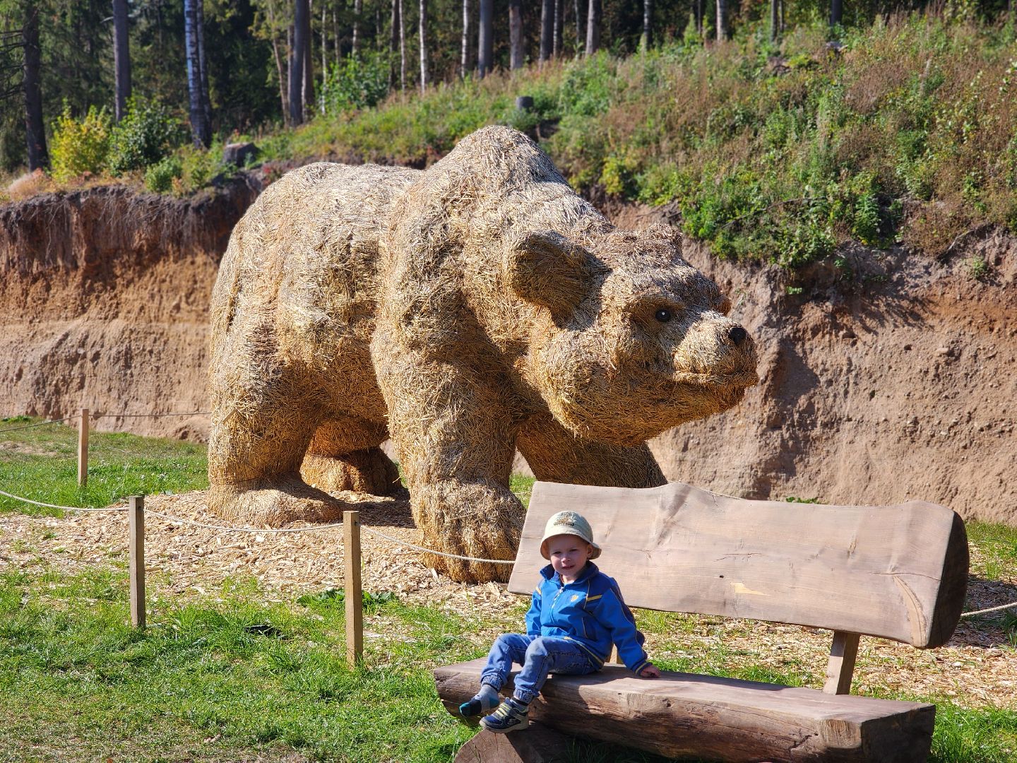 сергиев посад, сергиево-посадский городской округ, пересвет, богородское, резчик по дереву, владимир алманов, парковые скульптуры, скульптуры из дерева, скульптура из досок, скульптура из горбыля,творческая мастерская, лесной гость, хитрый лис,
