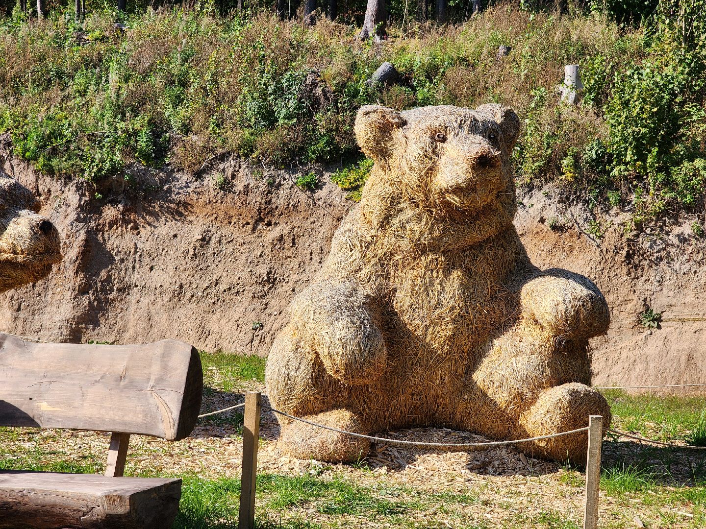 сергиев посад, сергиево-посадский городской округ, пересвет, богородское, резчик по дереву, владимир алманов, парковые скульптуры, скульптуры из дерева, скульптура из досок, скульптура из горбыля,творческая мастерская, лесной гость, хитрый лис,
