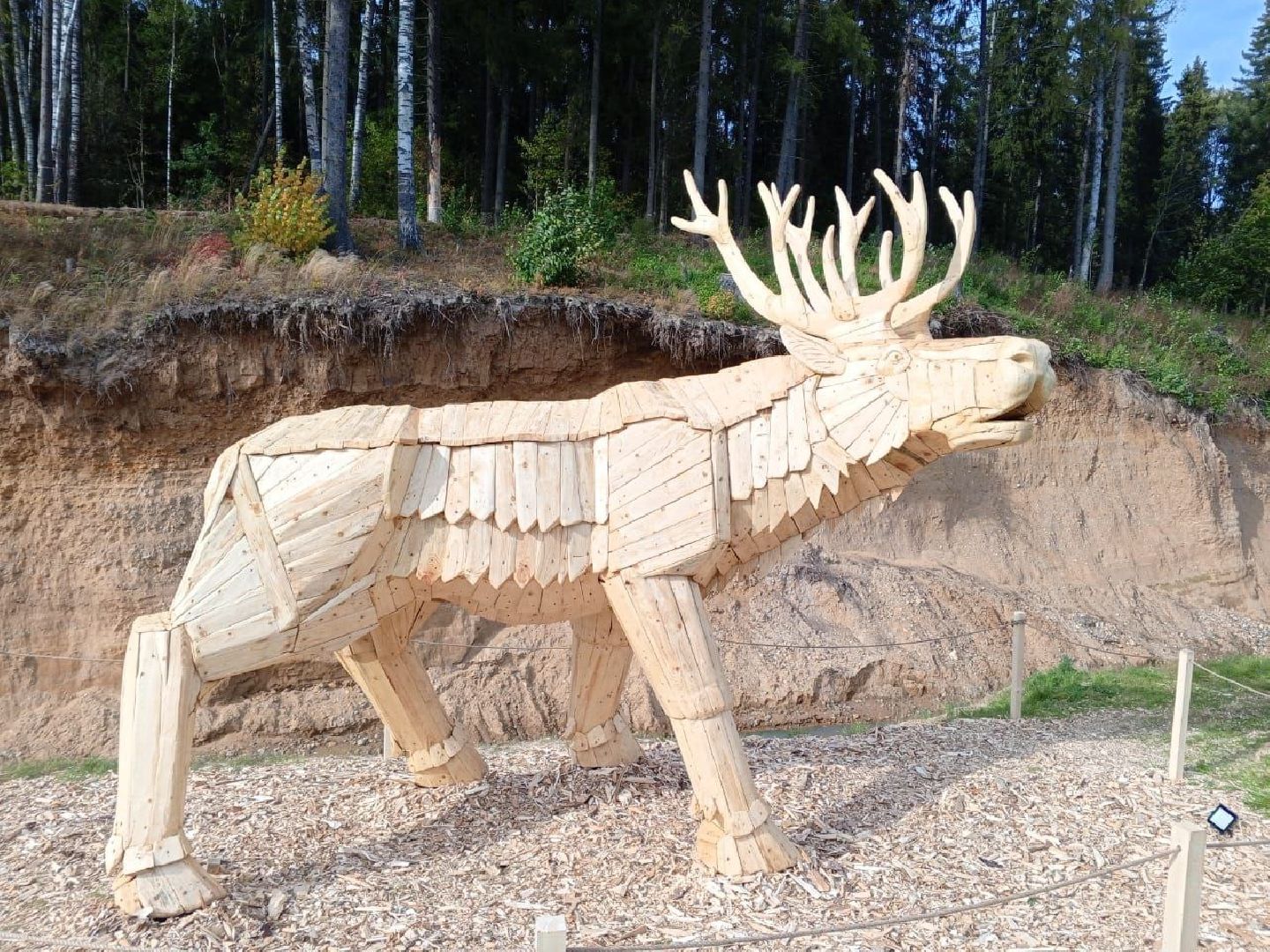 сергиев посад, сергиево-посадский городской округ, пересвет, богородское, резчик по дереву, владимир алманов, парковые скульптуры, скульптуры из дерева, скульптура из досок, скульптура из горбыля,творческая мастерская, лесной гость, хитрый лис,