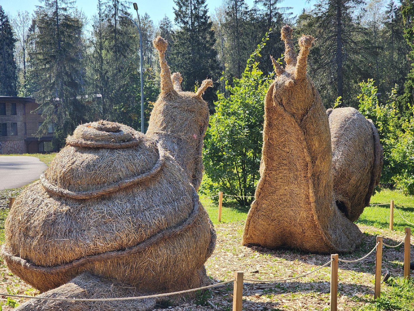 сергиев посад, сергиево-посадский городской округ, пересвет, богородское, резчик по дереву, владимир алманов, парковые скульптуры, скульптуры из дерева, скульптура из досок, скульптура из горбыля,творческая мастерская, лесной гость, хитрый лис,