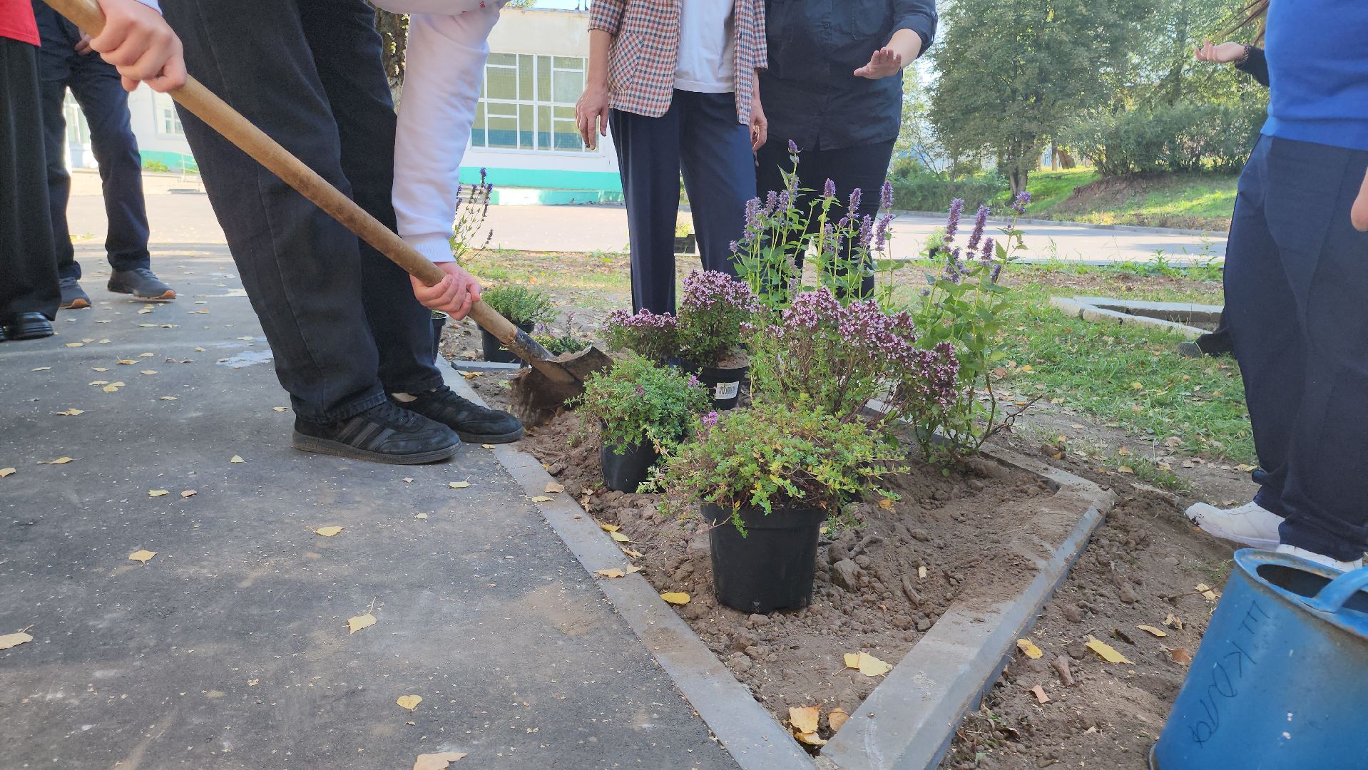 кашира, большое руново, школа, движение первых, экология, посадка растений, лечебные травы, питомник влада ковальчука,