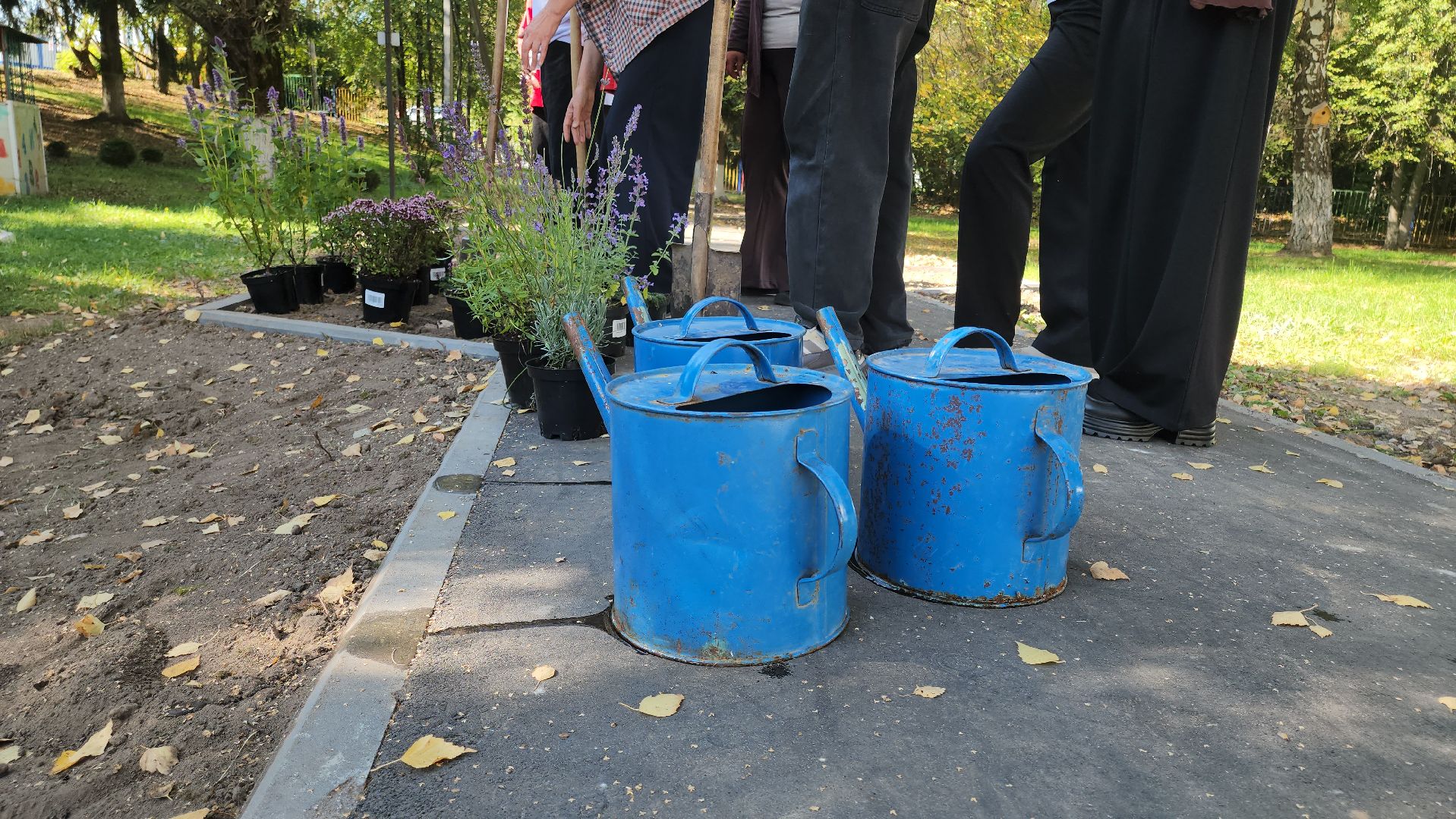 кашира, большое руново, школа, движение первых, экология, посадка растений, лечебные травы, питомник влада ковальчука,