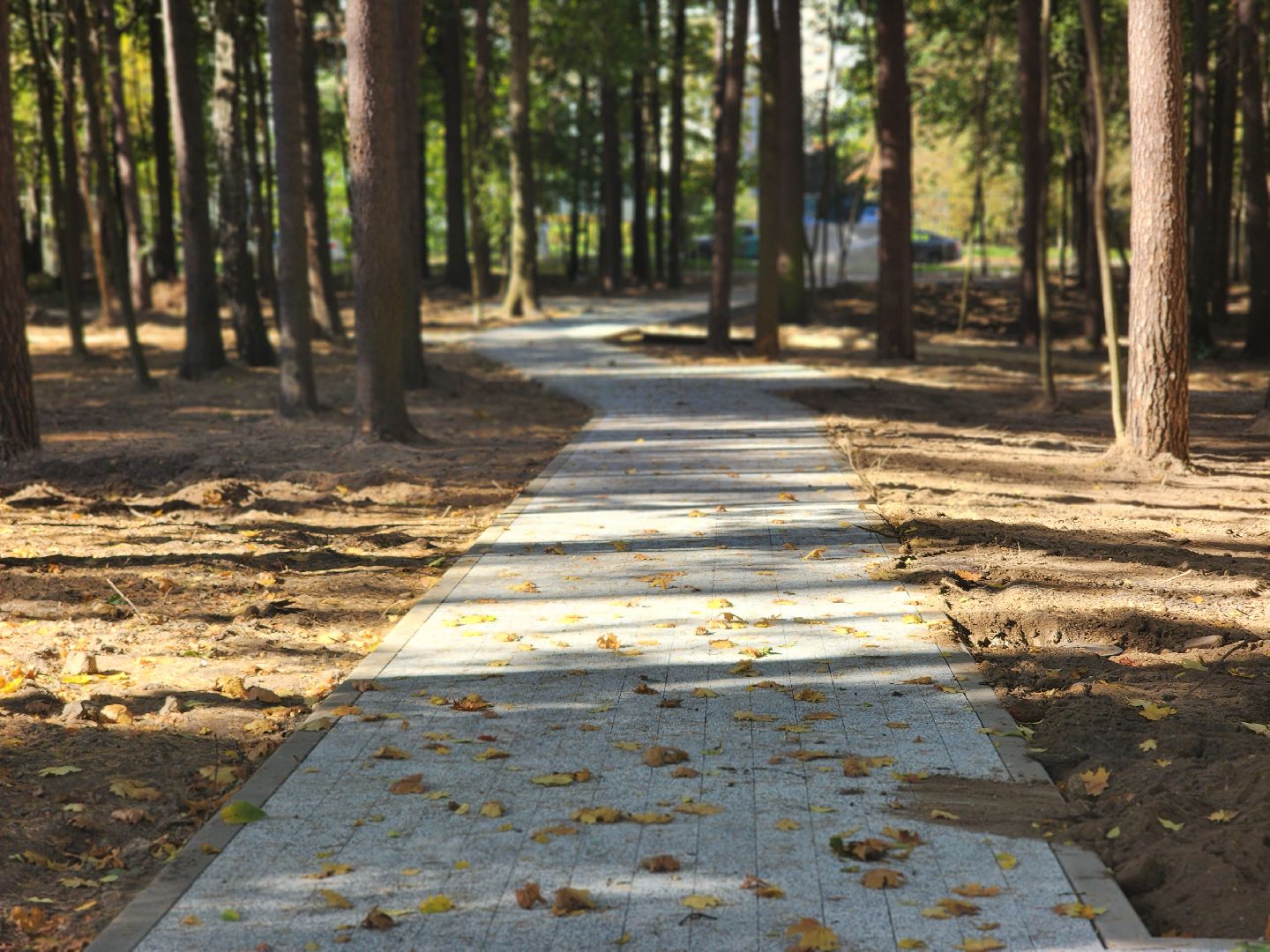 королёв, благоустройство парка папанинская дача, администрация городского округа королев, губернатор московской области,