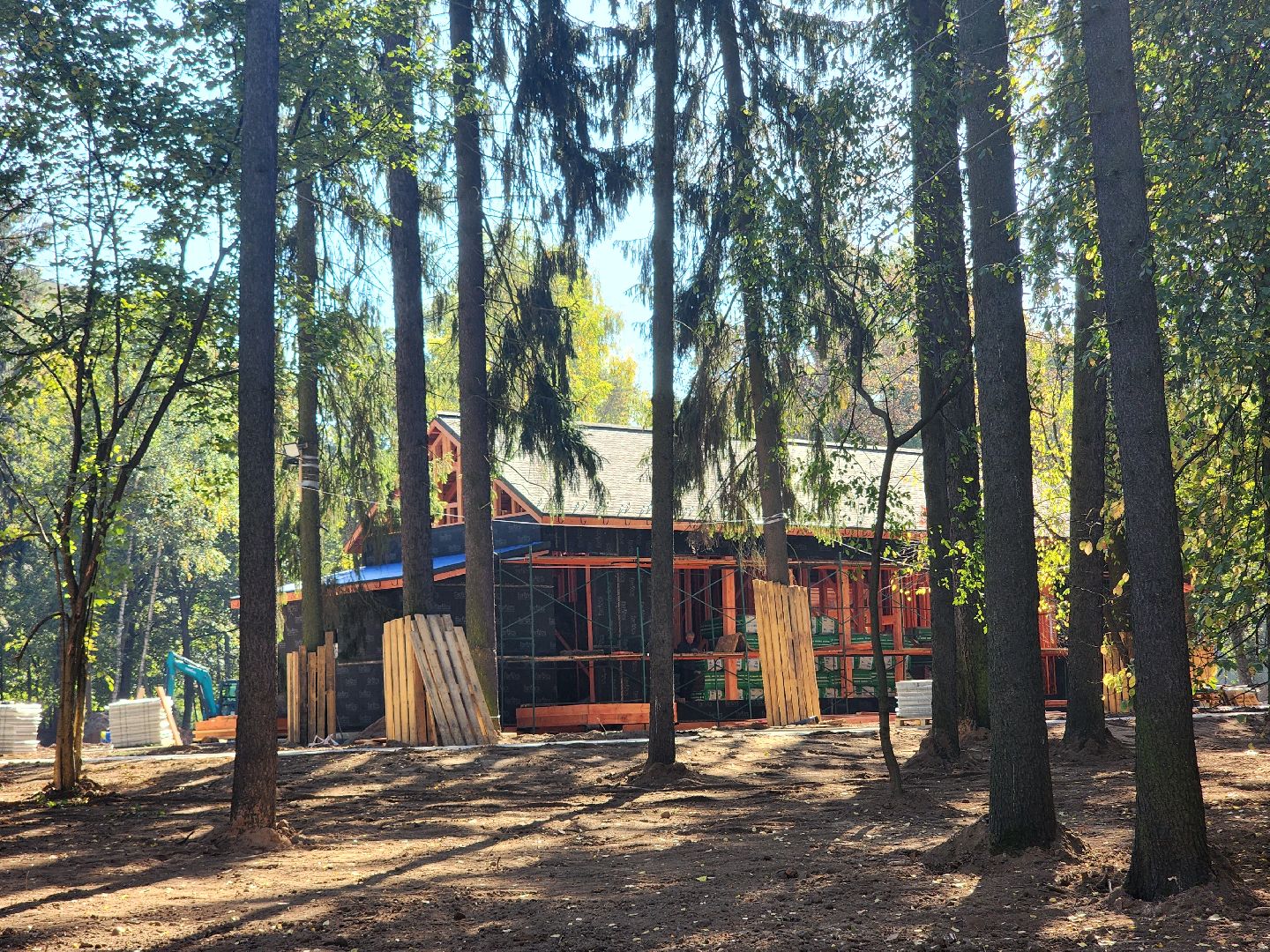 королёв, благоустройство парка папанинская дача, администрация городского округа королев, губернатор московской области,