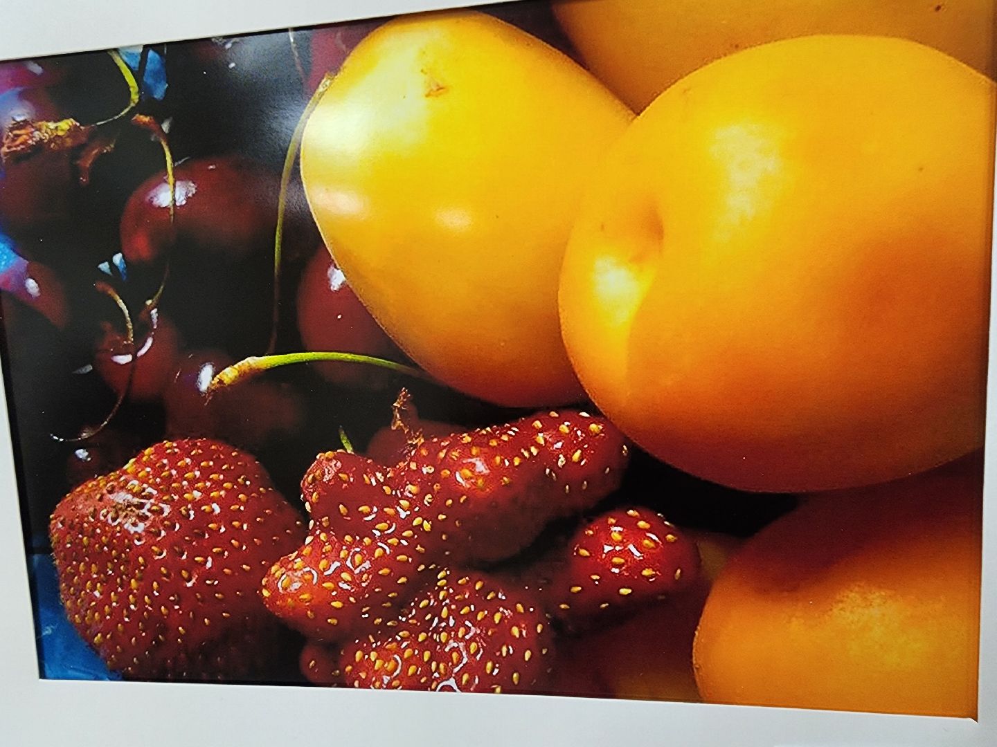 красноармейск, городской округ пушкинский, фотовыставка, активное долголетие,