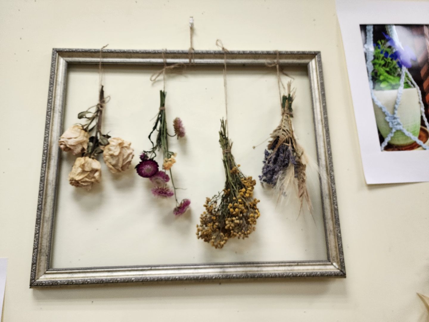 красноармейск, городской округ пушкинский, фотовыставка, активное долголетие,