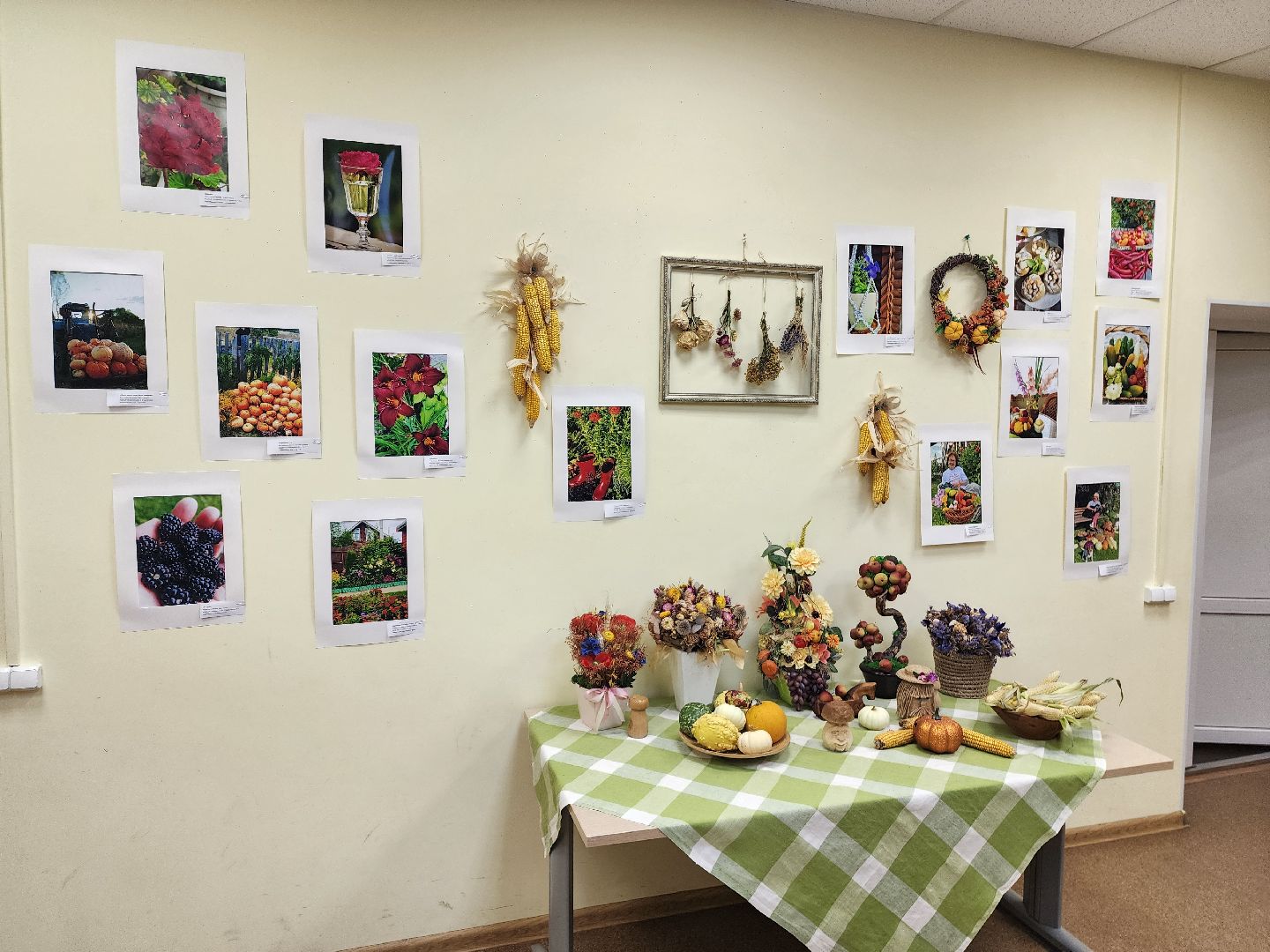 красноармейск, городской округ пушкинский, фотовыставка, активное долголетие,