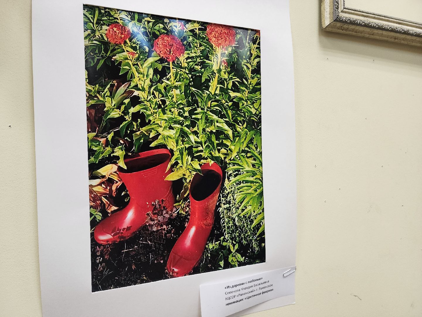 красноармейск, городской округ пушкинский, фотовыставка, активное долголетие,