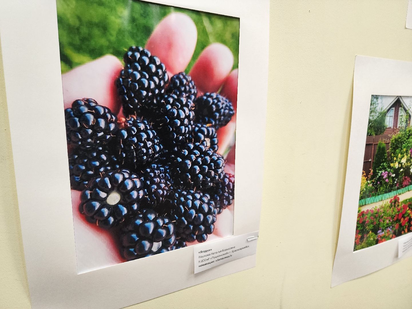 красноармейск, городской округ пушкинский, фотовыставка, активное долголетие,