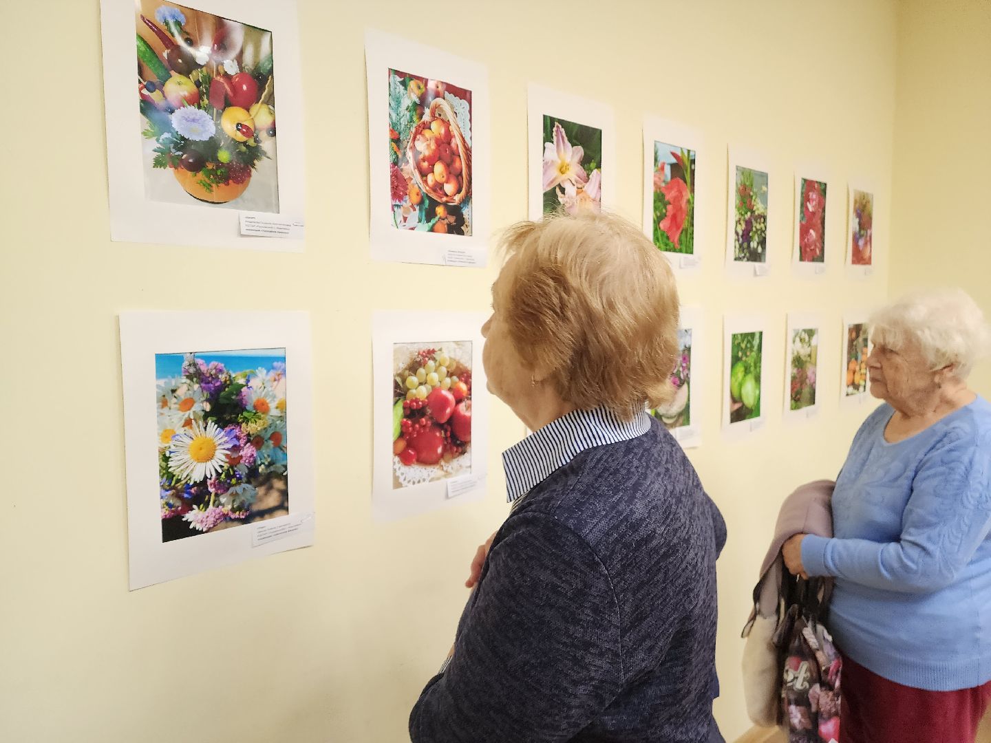красноармейск, городской округ пушкинский, фотовыставка, активное долголетие,