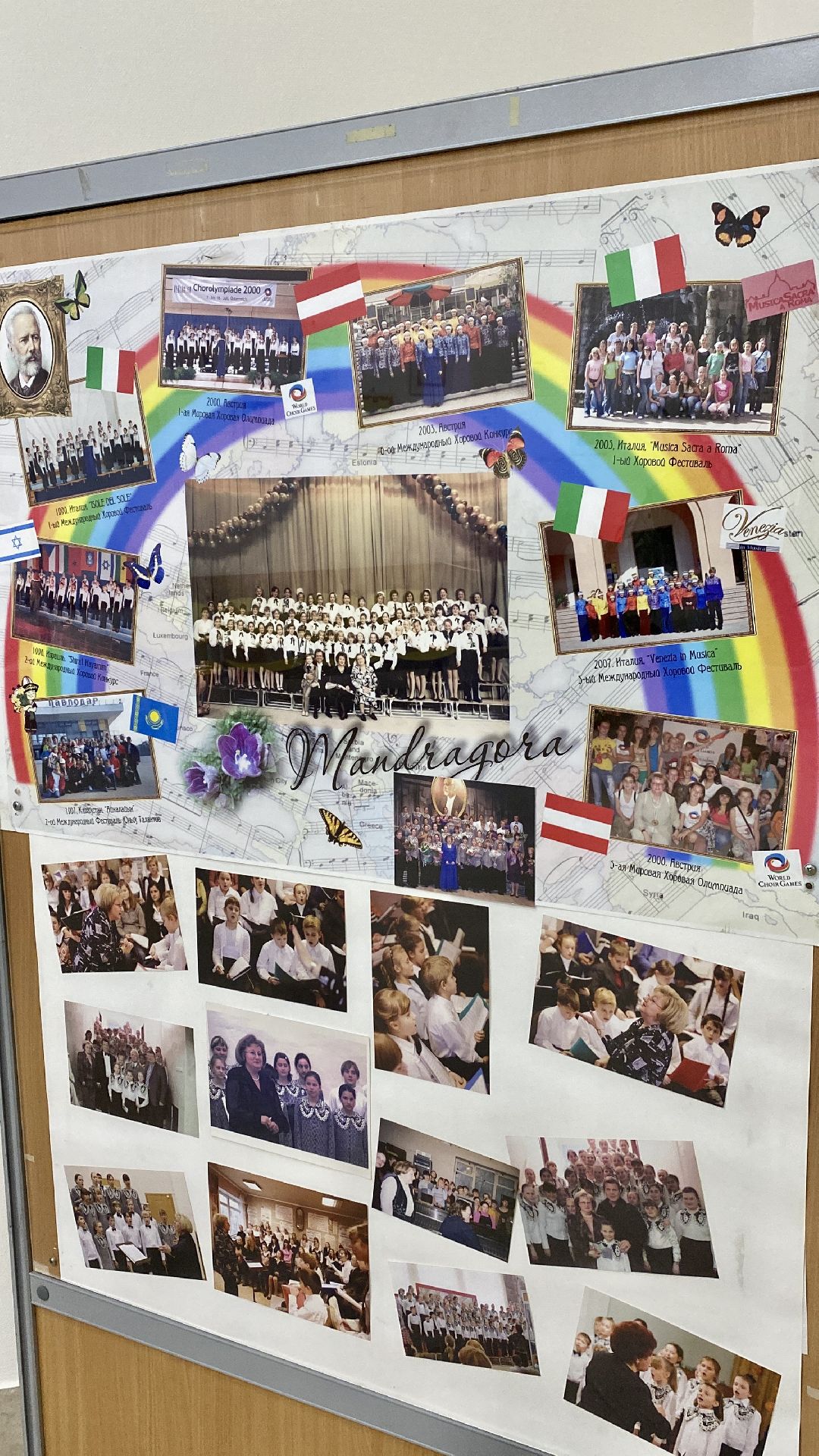 Клин, культура