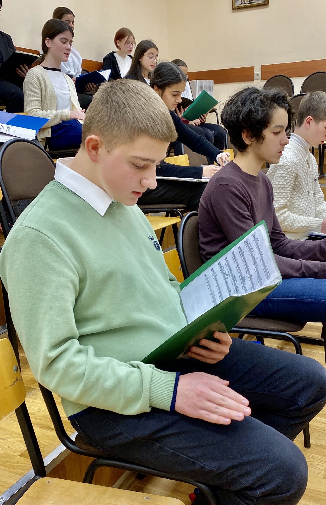 Клин, культура