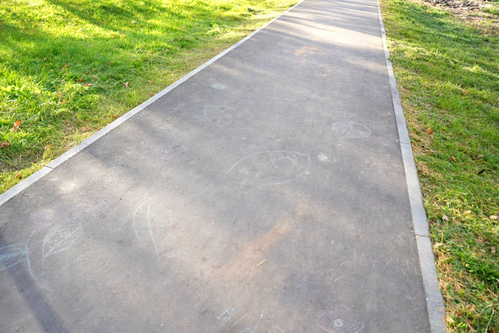 выездная администрация , сергиево-посадский городской округ, дороги, диалог с жителями,