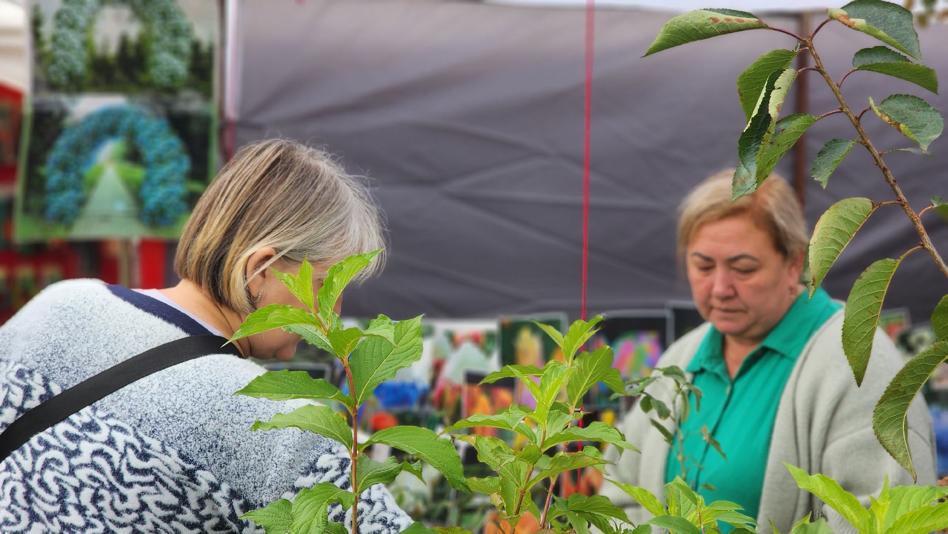 волоколамск, ярмарка товаров,