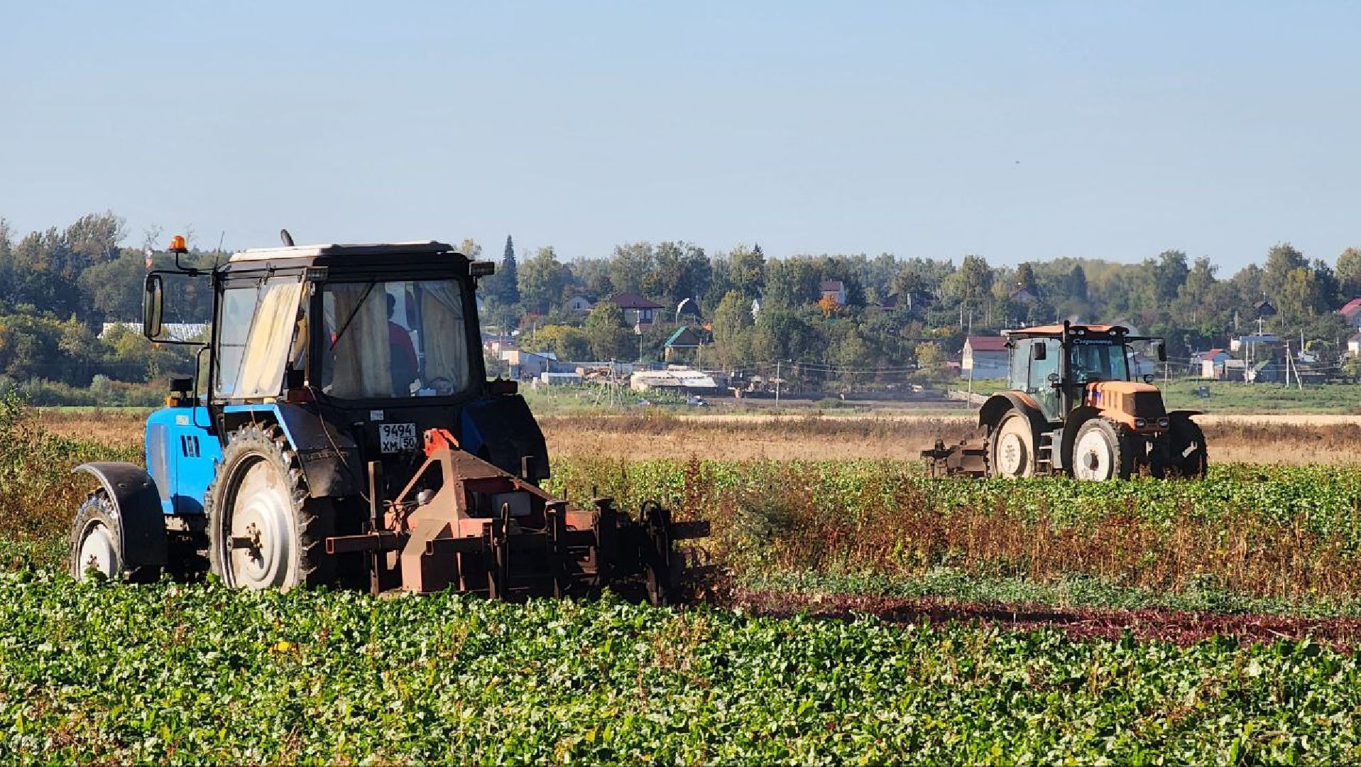 Дмитров, Уборочная кампания, Мосагрофуд, Минсельхоз,