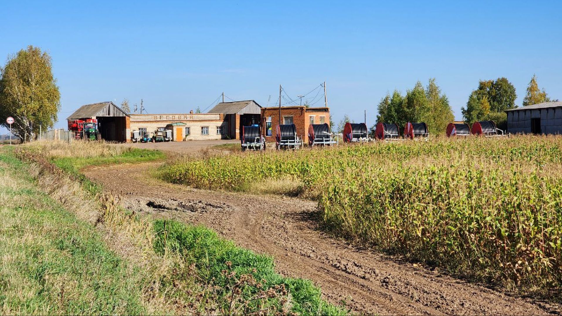 Дмитров, Уборочная кампания, Мосагрофуд, Минсельхоз,